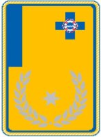 24. A - Uniform Kragenspiegel "Landesleiter"