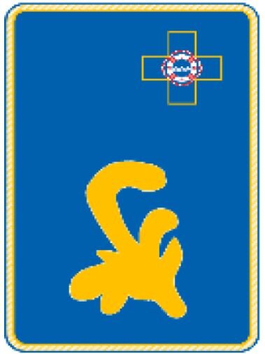 25. A - Uniform Kragenspiegel "Präsident"