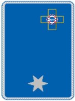 1. A - Uniform Kragenspiegel "Einsatzkraft in...