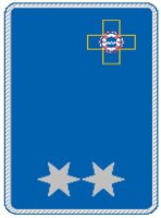 2. A - Uniform Kragenspiegel "Einsatzkraft"