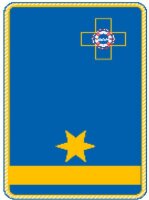 4. A - Uniform Kragenspiegel "Abschnittsleiter"