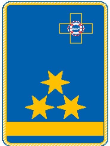 6. A - Uniform Kragenspiegel "Landesreferent"