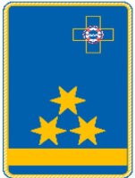 6. A - Uniform Kragenspiegel "Landesreferent"